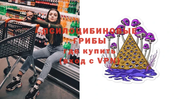 скорость Белокуриха