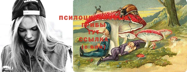 скорость Белокуриха
