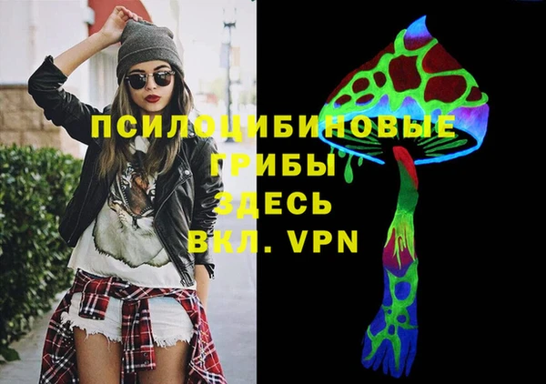 скорость Белокуриха